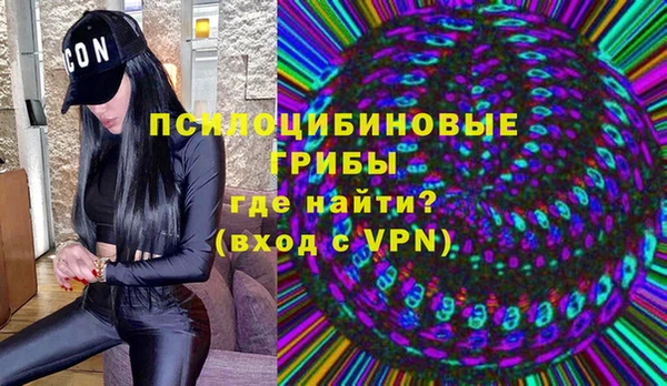 Альфа ПВП Богородицк