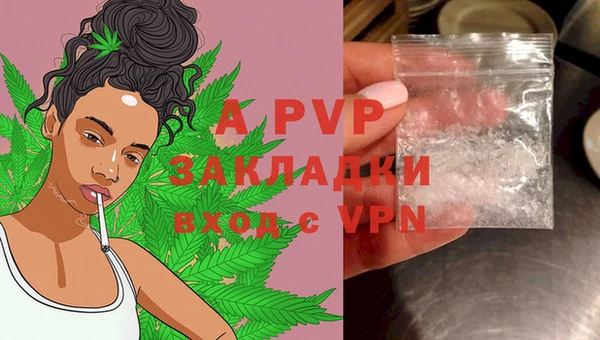 mdpv Белокуриха