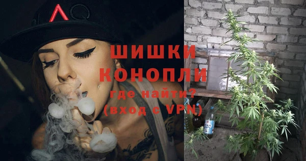 mdpv Белокуриха