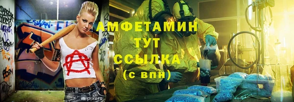 крисы Богородск