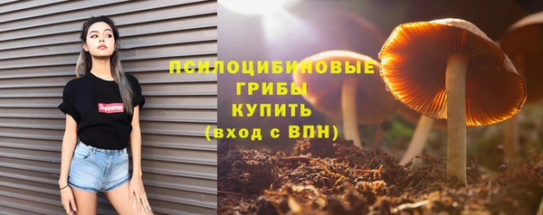бошки Беломорск