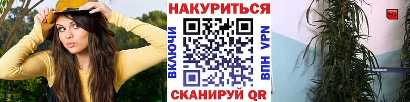 Бошки марихуана AK-47 Белоярский